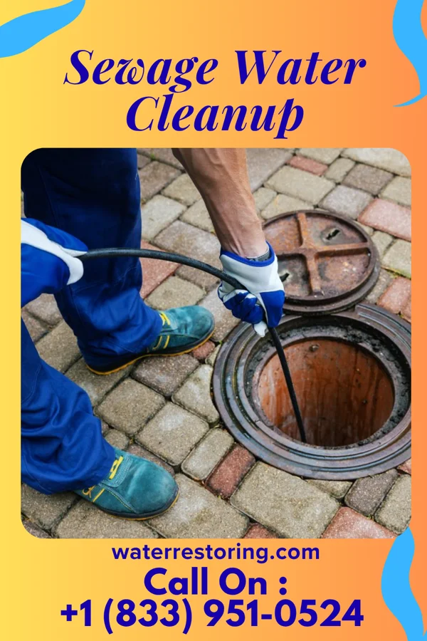 Sewage Water Cleanup in Morse Bluff, NE